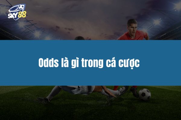 Odds là gì trong cá cược