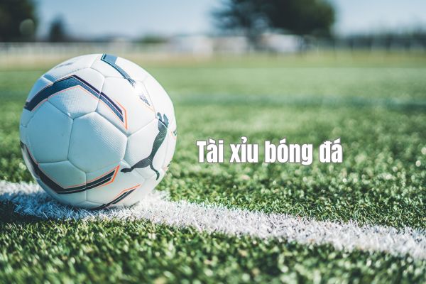 Tài xỉu là gì và cách tính kèo tài xỉu?