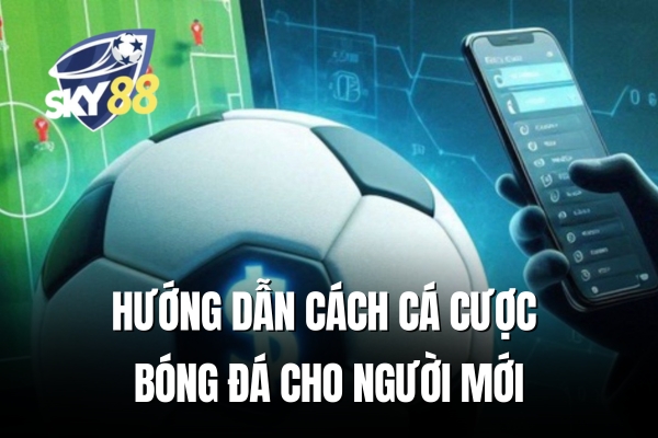 Hướng dẫn cách cá cược bóng đá cho người mới