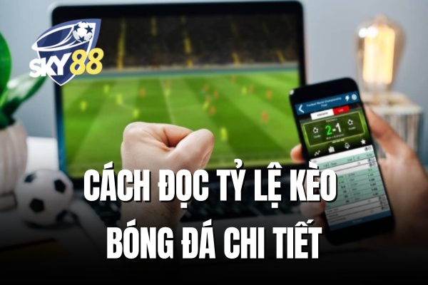 Cách đọc tỷ lệ kèo bóng đá chi tiết